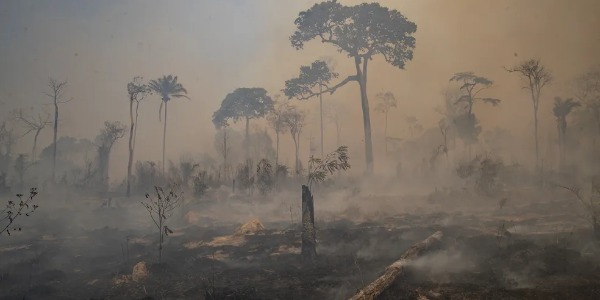 Imagem Bruno Bainy, pesquisador do CEPAGRI, explica como as queimadas na Amazônia influenciam o clima de Campinas e região