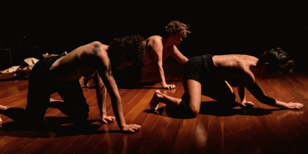 Imagem Residência Artística: Coletivo Dançantes no Lume Teatro